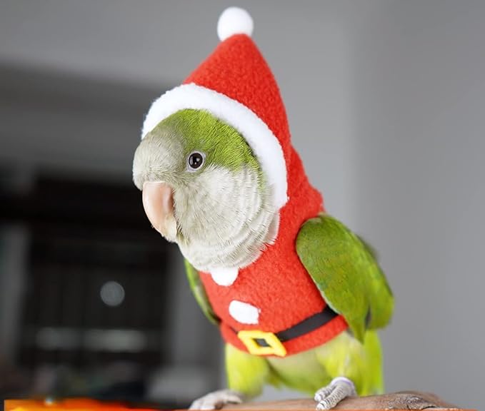 Bird Clothes Birds Flight Suit, Christmas Hoodie for Parrots Cockatiel Sun Conure Christmas Party Cosplay Photo Prop Bird Shirt Small Animals Apparel (with Diaper,Blue Quaker)