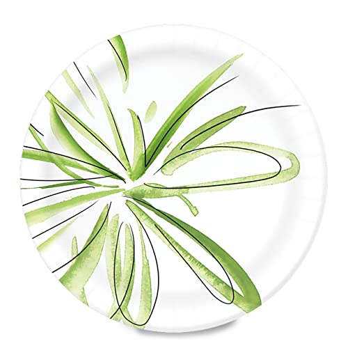 Amazon Basics Everyday Paper Plates, 8.62 Inch, Disposable, 200 Count