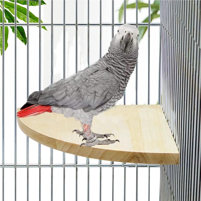 Litewoo Bird Parrot Corner Perch Flat Platform Stand, Easy to Install, Safe and Stable, Smooth Polishing Without Hurting Feet, Solid Hardwood Bird Cage Perches(XXL)