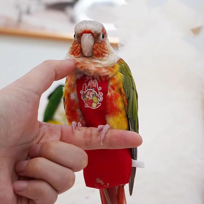MANON ROSA Bird Diapers Leash Set Washable Reusable Handmade Flight Suit Waterproof Inner Layer - Protective Parrot Nappy Clothes Parakeets Macaws Budgies Canaries (Red6,Cockatiel)