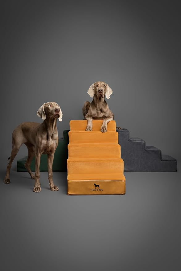 Noah & Paw Dog Stairs, Dog Ramp for Bed (20" Extra Wide) Pet Stairs for High Bed, Design to Fit Small and Large Breeds, Durable 5 Pet Steps for Couch (35 Foam Density) Leather Collection