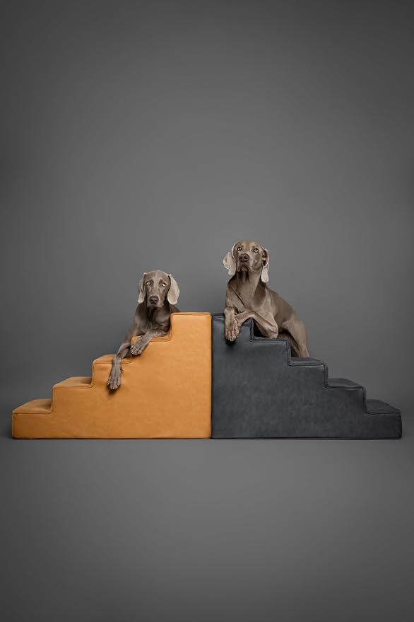 Noah & Paw Dog Stairs, Dog Ramp for Bed (20" Extra Wide) Pet Stairs for High Bed, Design to Fit Small and Large Breeds, Durable 5 Pet Steps for Couch (35 Foam Density) Leather Collection