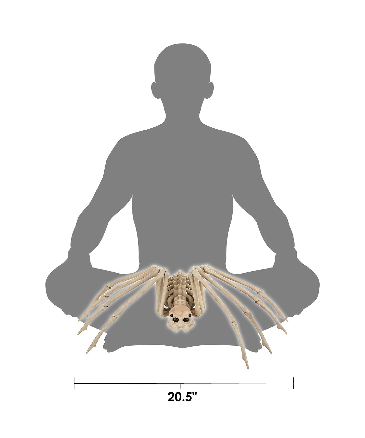 Crazy Bonez Skeleton Spider Halloween Decoration, 20.5 x 12 Inch Bendable Legs, Durable All-Weather Plastic Spooky Prop for Indoor or Outdoor Displays