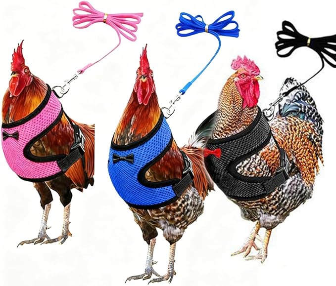 Chicken Harness and Leash Set Adjustable Mesh Breathable Duck Training Harness Pets Leashs for Goose Hen Rooster Parrots Dog Kitten, Purple S