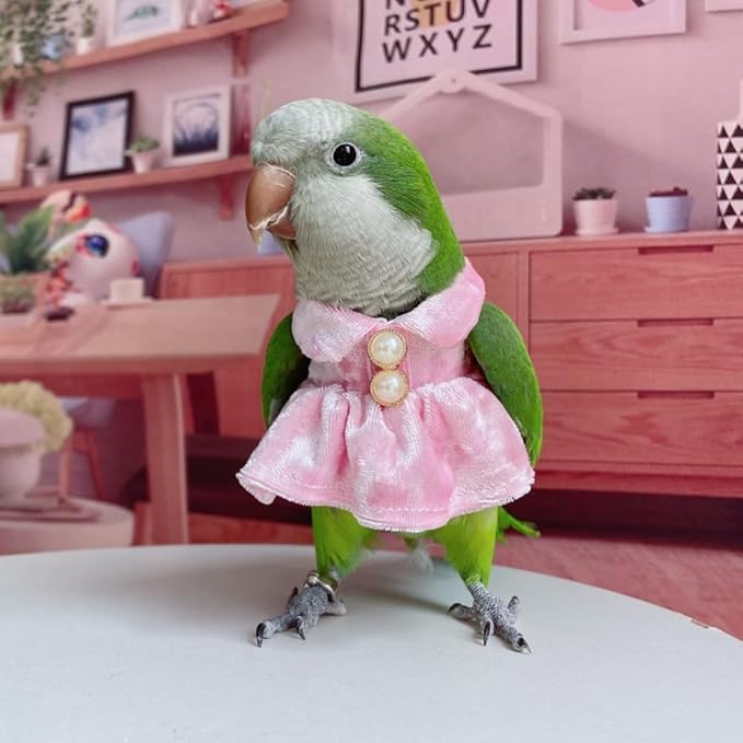 Bird Costume Bird Diaper Flight Suit Parrot Velvet Fleece Skirt Clothes Cosplay Photo Prop for Conure Lovebird Parakeet Cockatiel Macaw Small Animals Apparel (White,X-Small)
