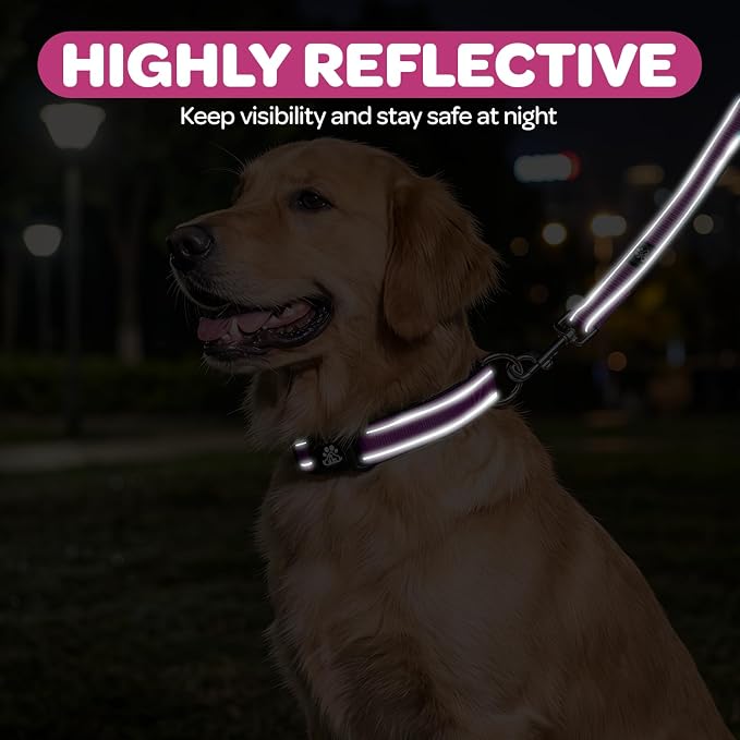 FURRYFECTION Reflective Dog Collar and Leash Set with Quick Release Buckle, Padded with Neoprene Adjustable Nylon Dog Collar for Small Medium and Large Dogs (Medium Collar+5FT Leash, Hot Pink)