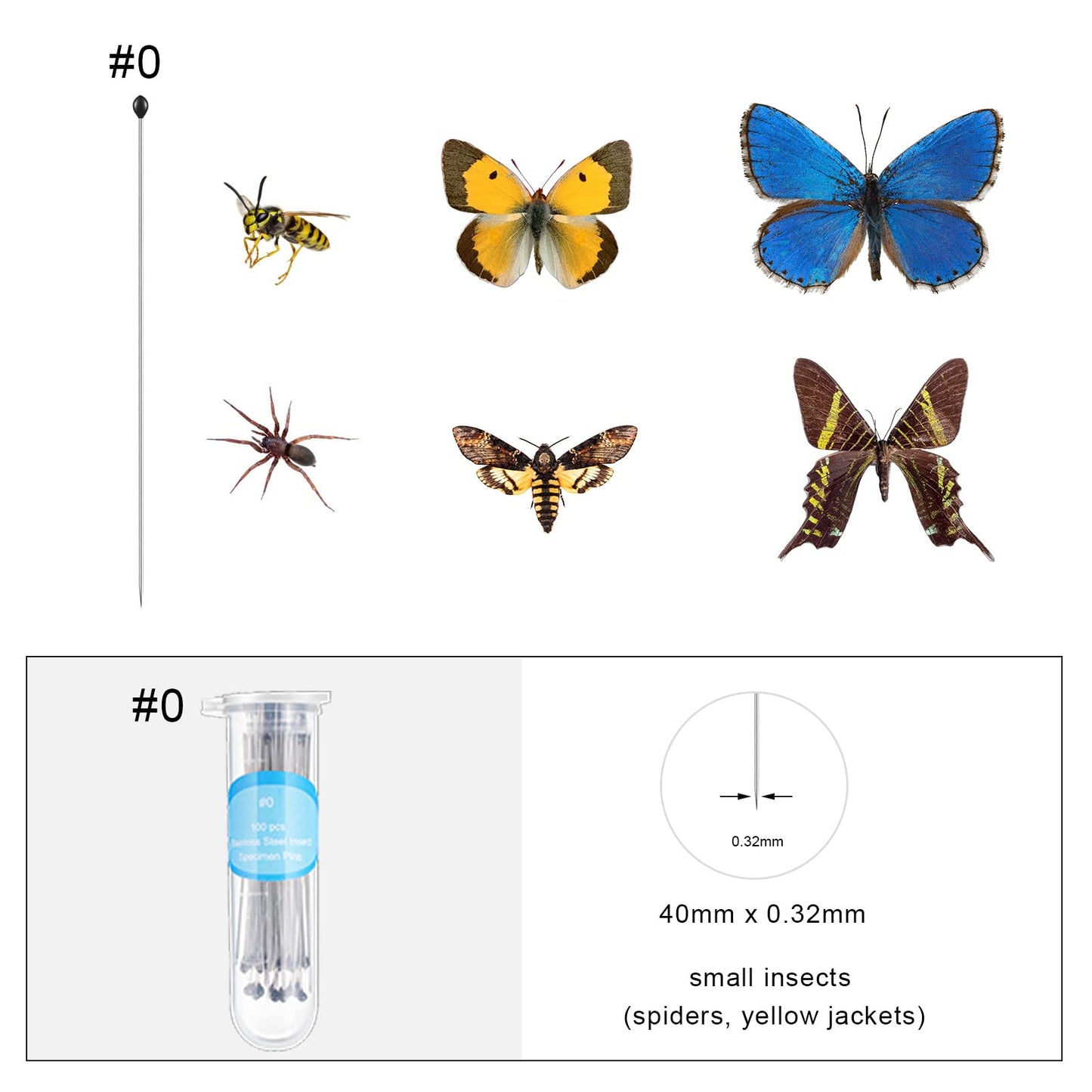 Insect Display Case Box Collection Box with Clear Top, EVA Foam Pinning Board and 100 Pieces Pins Insect Shadow Box Kit Entomology Supplies for Collecting Butterfly Specimen (Brown)