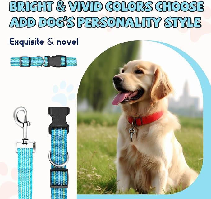 Reflective Dog Collar and Leash Set, Nylon Dog Leash with Heavy-Duty Steel D-Ring, Adjustable with Quick Release Buckle for Small Dogs,Cyan S