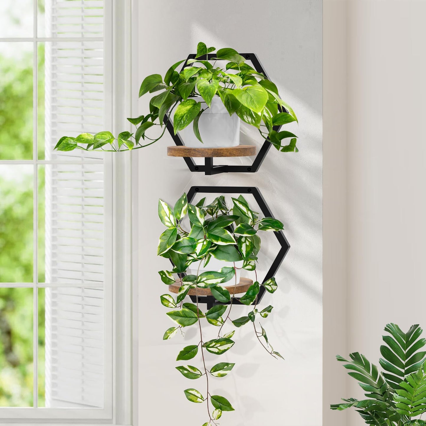 JOPBENG 3 Packs Wall Planters for Indoor Plants, 7.9inch Metal Plant Holder Hanger Wall Decor, Mounted Hanging Window Shelves Outdoor Rack (Black Wooden Base)