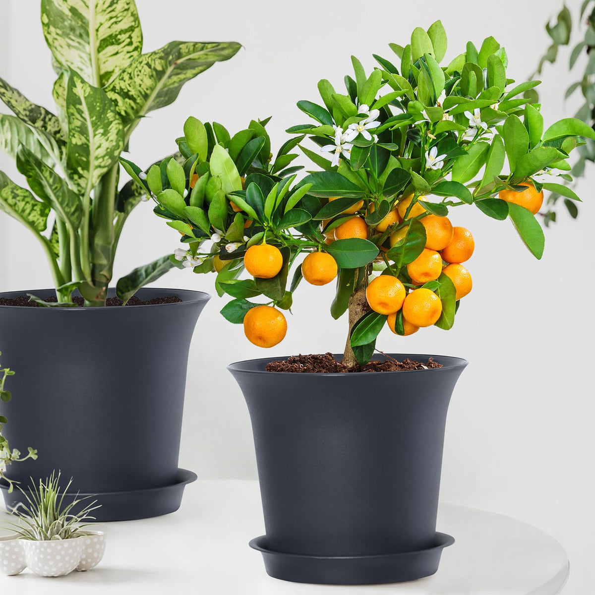 Oliz Planter Pots 8 Packs, 7.2 Inches Flower Pots with Drainage Holes & Trays, Ideal for Succulents, Herbs, Flower, African Violet, Garden Plant Pots for Home Garden Kitchen Decor (Dark Grey-2)