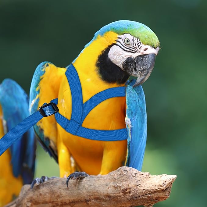 2 pcs Pet Parrot Bird Harness and Leash, Adjustable Training Design Anti-Bite, Outdoor Flying Training Rope Kit for Bird Parrots Fits Birds Chest Between35-62cm /13.78-24.41inch - L (Blue)