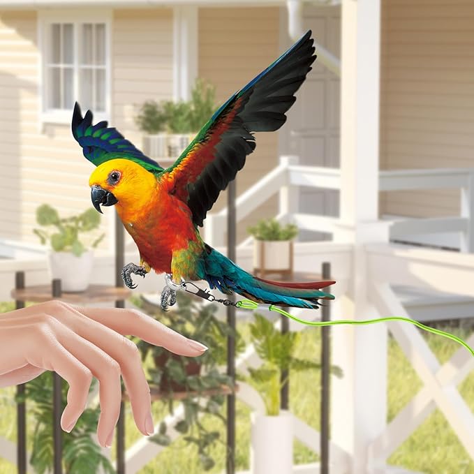 Parrot Flying Leash, 16.4 ft Training Rope with 3 Size Bird Foot Ring, Anti-Bite Elastic String for Cockatiels, Birds, Pigeon (Clear)