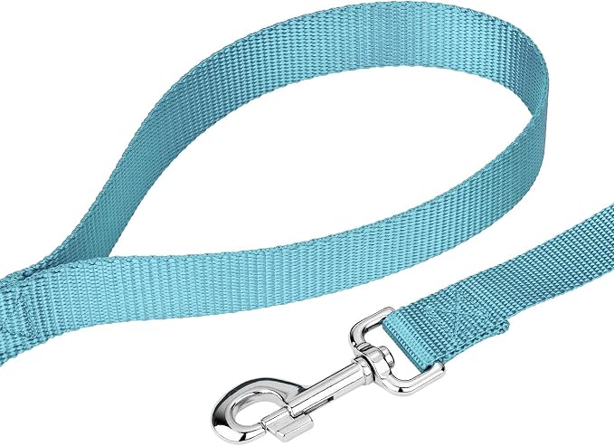 Country Brook Petz - Everyday Nylon Dog Collar and Leash - 10+ Cool Colors (3/8 Inch, 2XS, Ocean Blue)
