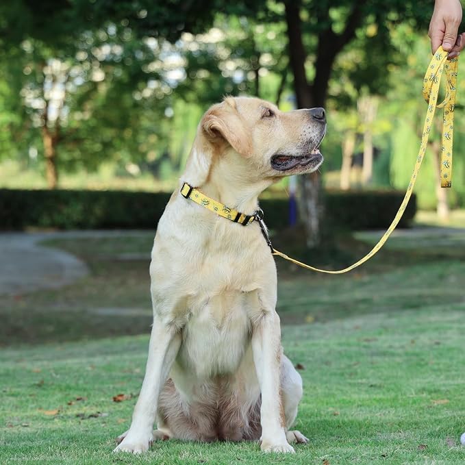 Dog Collar Leash Set, Busy Bee Pattern, 5ft Matching Leash, Polyester Material, 4 for Small Medium Large Dogs.(S, Bee)
