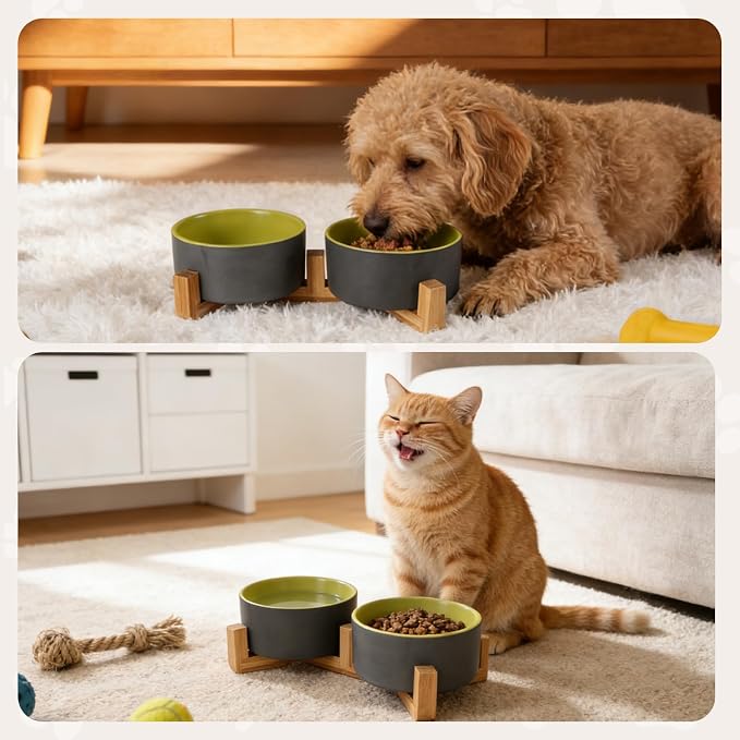 Ceramic Dog and Cat Bowl Set with Wooden Stand Matte Glaze Elevated Food Water Set Anti-Tip Non-Slip Weighted for Cats Small Breed Dogs-Green-13.3OZ