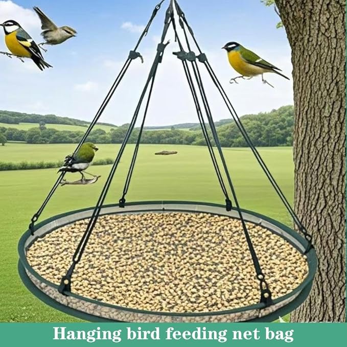 Bird Seed Catcher Tray for Hanging Bird Feeder, Large Outdoor Platform Tray with Adjustable Hanging Hoop, Deep Birdseed Holder for Hummingbird and Bee Feeders in Garden, Lawn, Backyard (M)