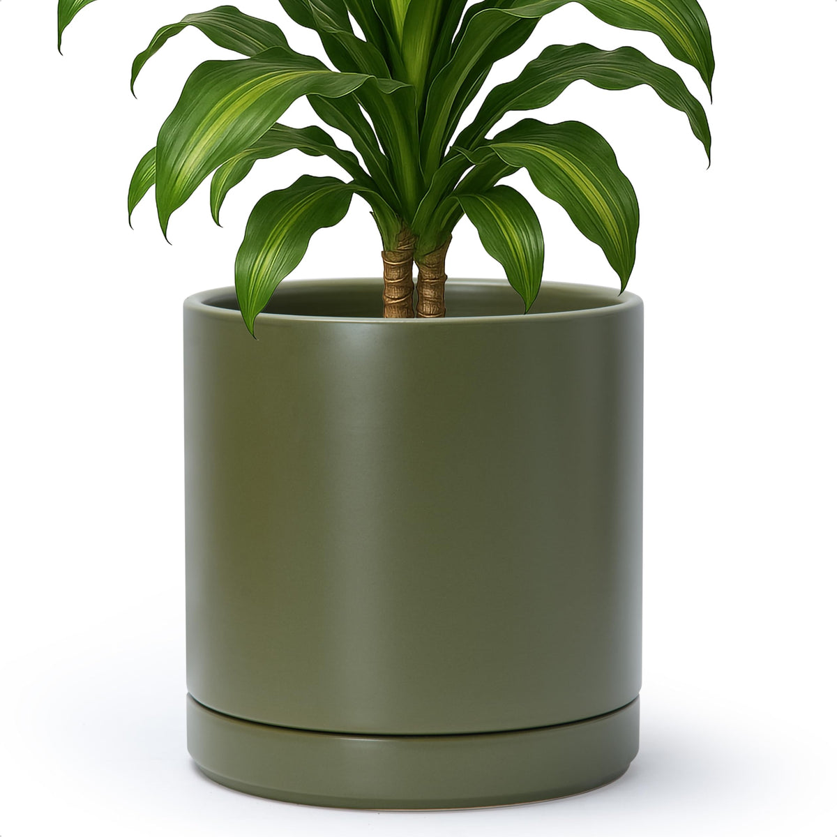 D'vine Dev 10 Inch Ceramic Planter Pot with Drainage Hole and Saucer, Indoor Cylinder Round Planter Pot, Olive, 94-O-E-J