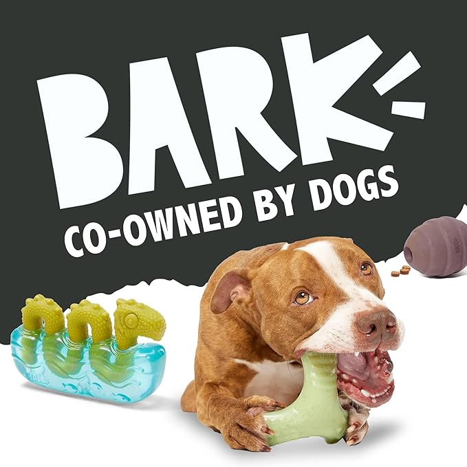 Barkbox Green Chew Leaf Dog Toy for Small Dogs – 2-in-1 Design with Mixed Textures and Surprises, Perfect for Tough Chewing and Playful Pups