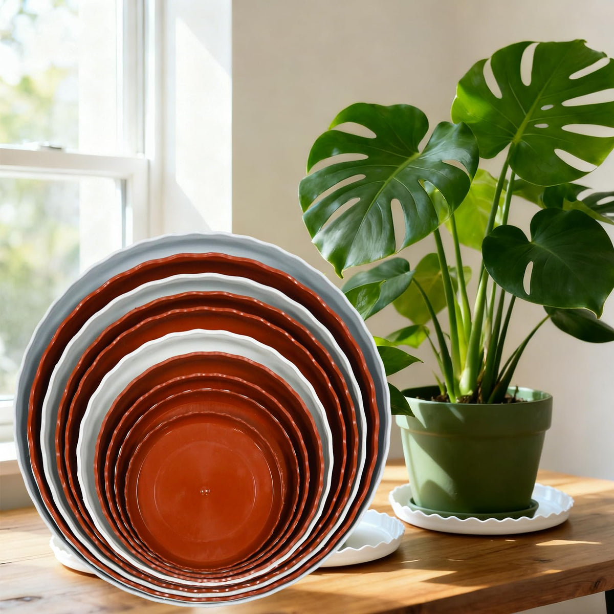 JAKOUE 4 Size Wave Shaped Round Plant Saucer,6 Pack Pant Pot Trays, Plant Saucers for Indoors and Outdoors, Seed Starting Tray, Growing Trays,White(4",5",6",8")