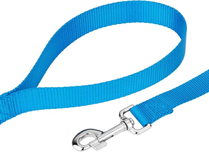 Country Brook Petz - Everyday Nylon Dog Collar and Leash - 10+ Cool Colors (3/8 Inch, 2XS, Ice Blue)