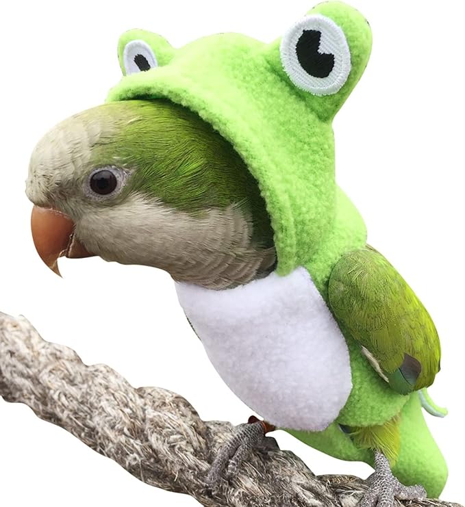Bird Costume Diaper Flight Suit Frog Shape Hoodie Clothes Cosplay Photo Prop for Parrots Parakeet Cockatiel Sun Conure, Small Animals Apparel (Pink with Diaper, Medium), Green (BPF1)
