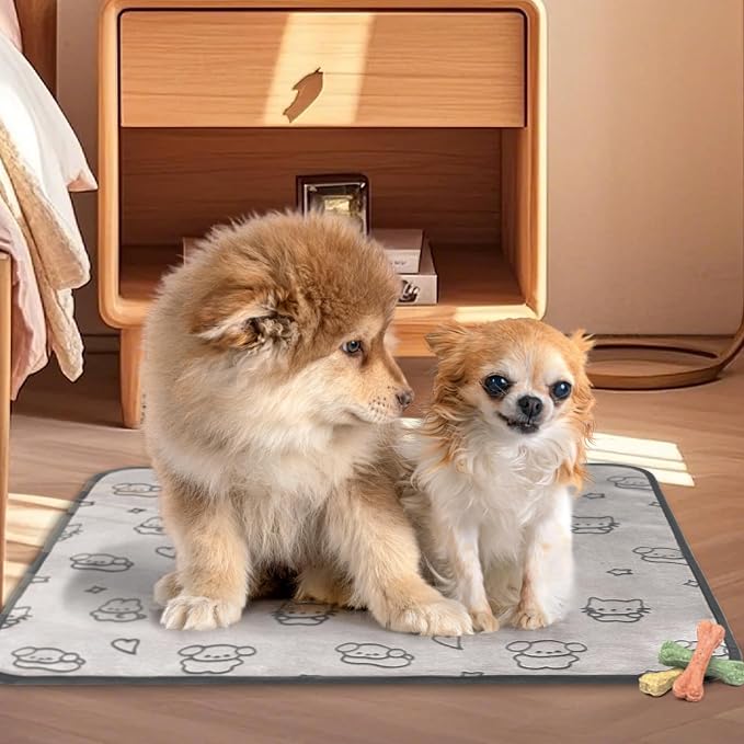 Qeils Reusable Puppy Pads, 2 Pack Washable Pee Pads for Dogs, Waterproof Non Slip Wee Wee pad, Absorbent and Leakproof Training Mats for Potty, Crate, Playpen, Bed, Sofa, 36"x 36"