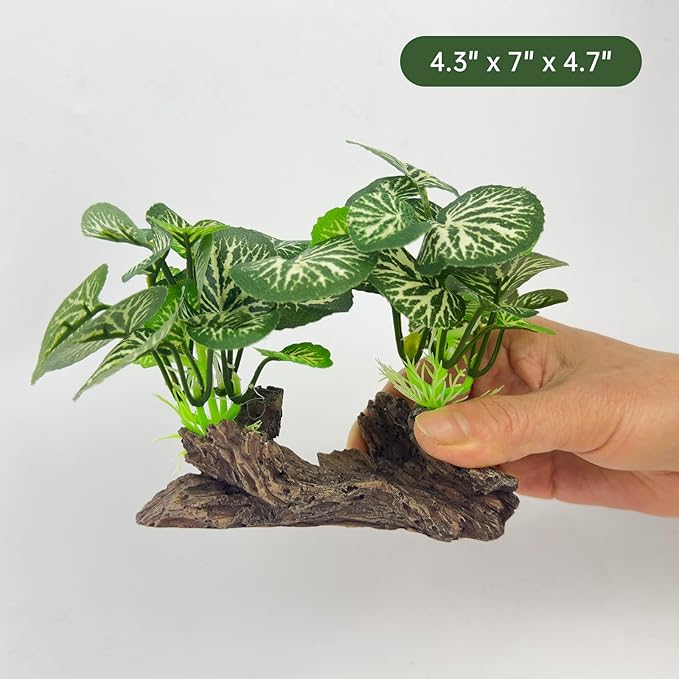 Aquarium Driftwood, Natural Fish Tank Decor for Betta, Reptile Hideout & Terrarium Ornament, Type-B