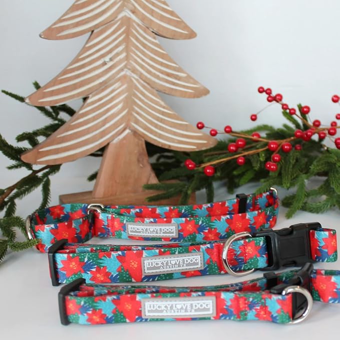 Lucky Love Dog - Easy Click Noel Dog Collar with Leash Set Combo, Durable & Comfortable for Male & Female Dogs, Pet Collar for Small Dogs, Secure Fit - Noel Combo, Small
