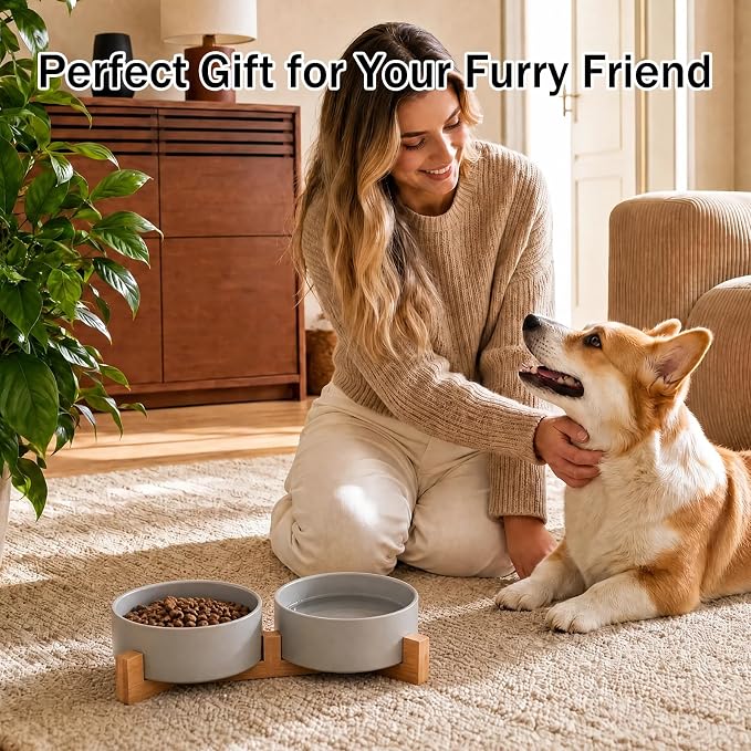 MateeyLife Ceramic Dog and Cat Bowls with Stand, 2-Pack Food and Water Bowl Set - Non-Slip Pet Bowls for Small & Medium Size Dogs,28.7OZ(Grey)