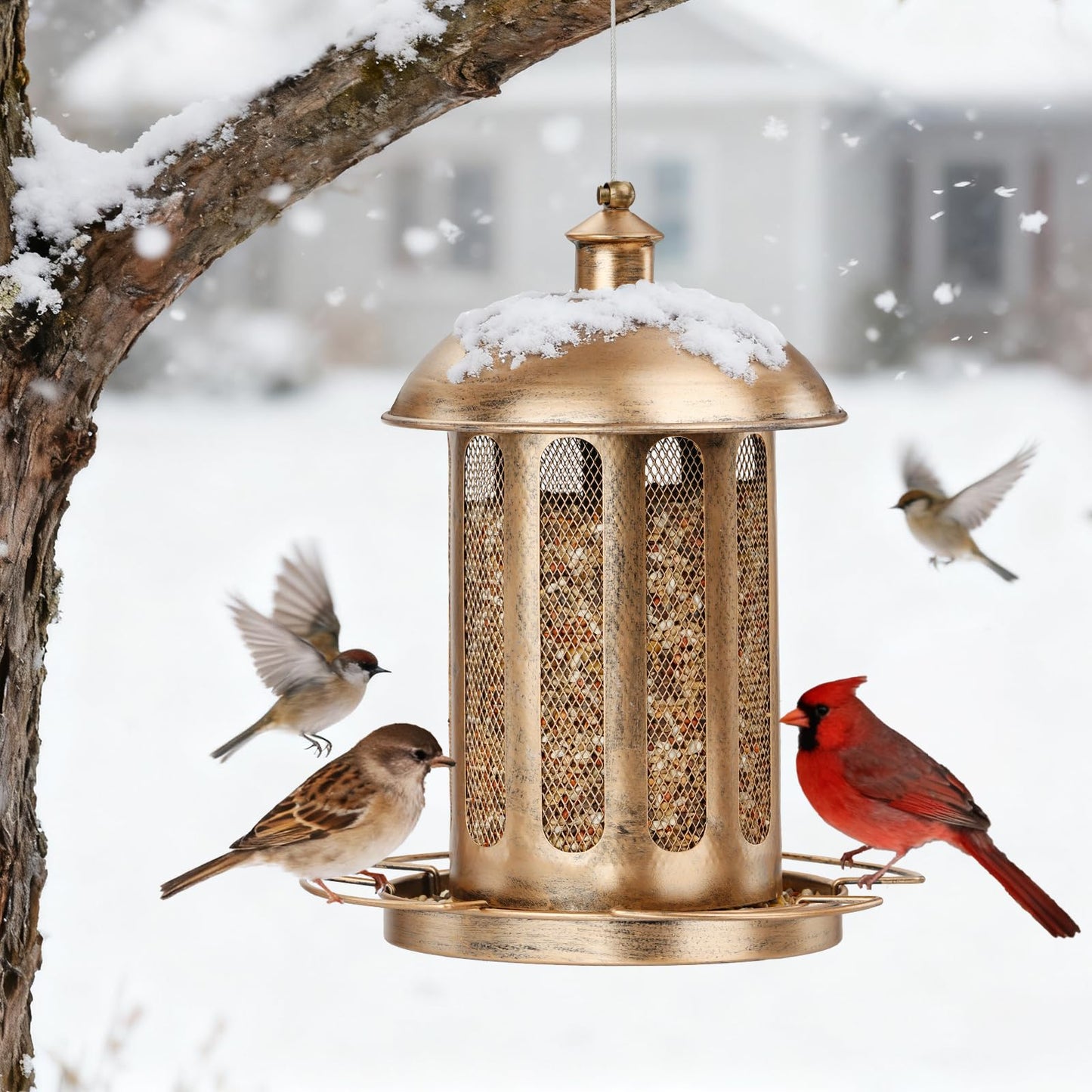 IWNTWY Bird Feeder, Large Capacity Bird Feeders for Outdoor Hanging, Heavy Duty Metal Wild Birdfeeder for Outside Garden Yard Decor, Retro Lantern Shape
