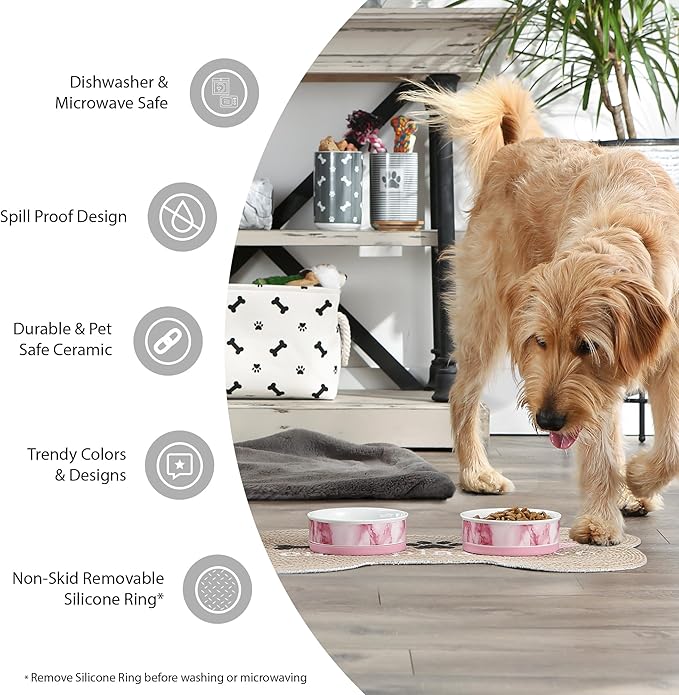 Bone Dry Ceramic Food Bowls, Non-Slip & Dishwasher Safe, Small Set, 4.25x2 Eat/Drink