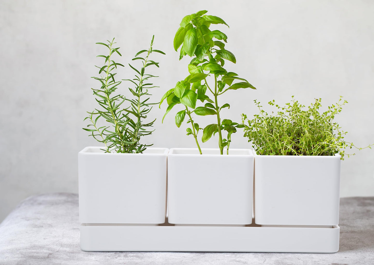 D'vine Dev Herb Garden Planter Set, Plastic Plant Pots with Drainage and Saucer, Indoor Succulent Cactus Vegetable Pot for Windowsill, Garden Balcony, White, Set of 1, 76-V-A-1