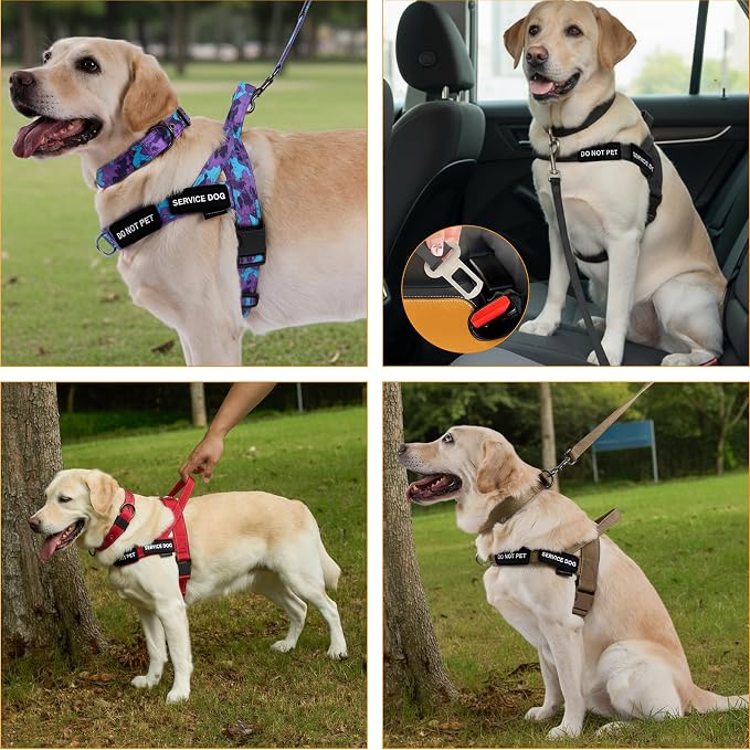 Annchwool No Pull Dog Harness,Heavy Duty Collar & Leash Set-Leash with Double Handle & Car Seatbelt Clip-Easy Control for Walking Training Medium Large Size Dogs(Camo Purple,S)