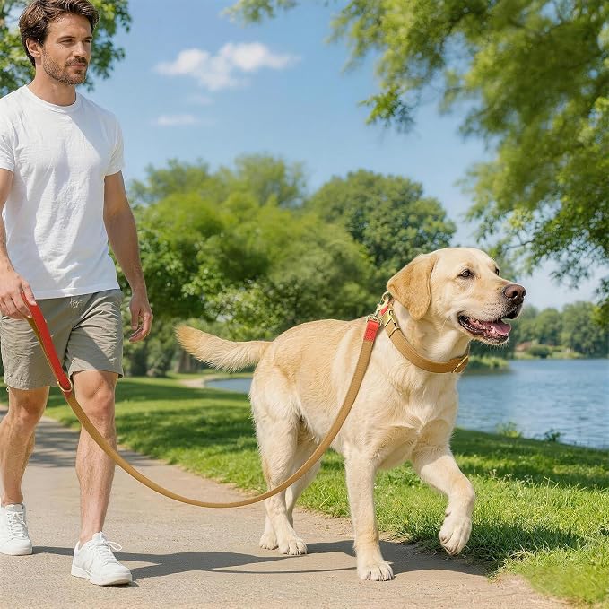 Dog Collar and Leash Set with Metal Quick Release Buckle, Adjustable, Breathable Nylon, Durable, Soft and Comfortable, No Pull for Walking and Training, Khaki, L (14.9"-22.8")