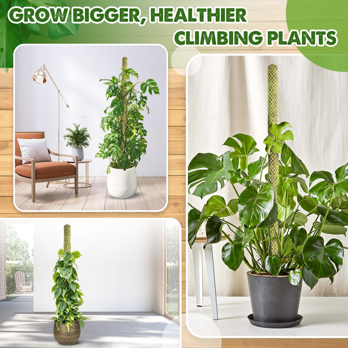 DUSPRO 2 Pack 22" White Stackable Mesh Moss Pole for Plants β Extendable Up to 39", Natural Forest Moss Pole Monstera Plant Support, Moss Stick for Climbing Plants, Indoor Plant Stakes Accessories