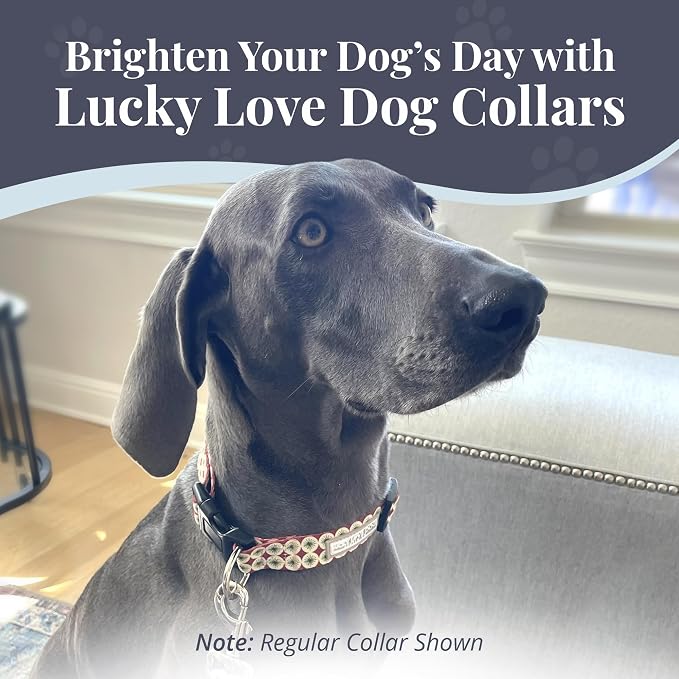 Lucky Love Dog Martingale Dog Collar - Adjustable, No-Slip, Durable, & Soft Webbing Collar for Male and Female Dogs Ideal for Training & Walking - in Unique Pongo Pattern, Large Size