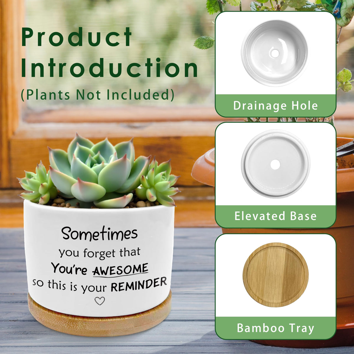 ROXMART Sometimes You Forget Your Awesome Gifts Plant Pots, Thank You Gifts for Men Women Coworkers Friends Succulent Planters, Ceramic Plant Flower Pots for Home Office Desk Table Shelf(No Plants)