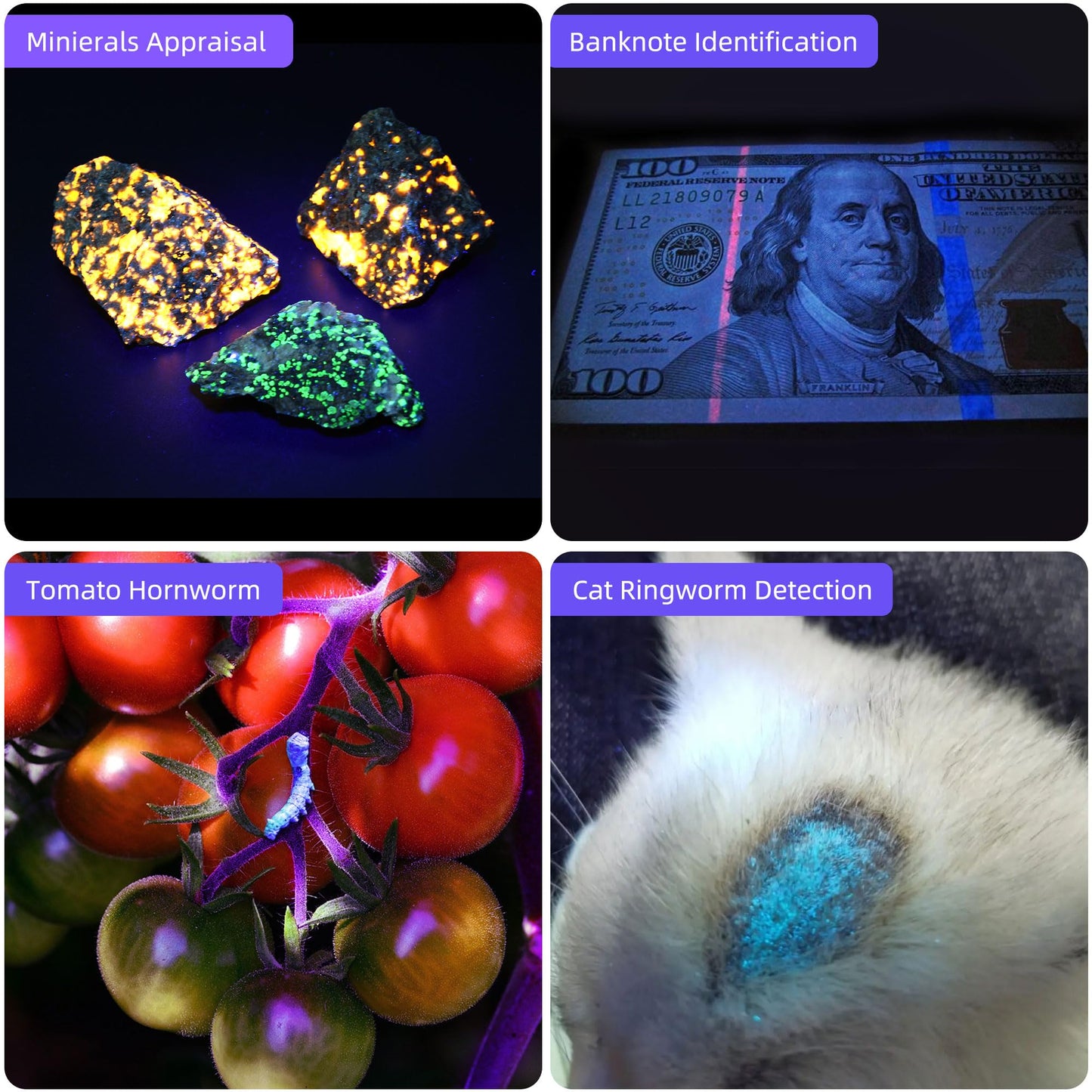 DARKBEAM UV Flashlight 365nm Light and 395nm Blacklight, Mini Powerful Woods Lamp USB-C Rechargeable, LED Ultraviolet Flashlights Pet Urine Detector for Rock, Uranium Glass, Resin Curing, 2 Pack