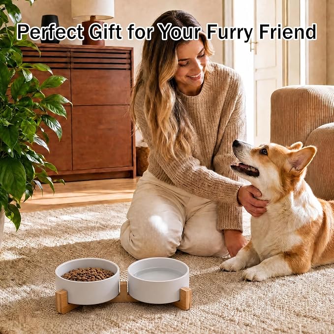 MateeyLife Ceramic Dog and Cat Bowls with Stand, 2-Pack Food and Water Bowl Set - Non-Slip Pet Bowls for Small & Medium Size Dogs,28.7OZ(White)