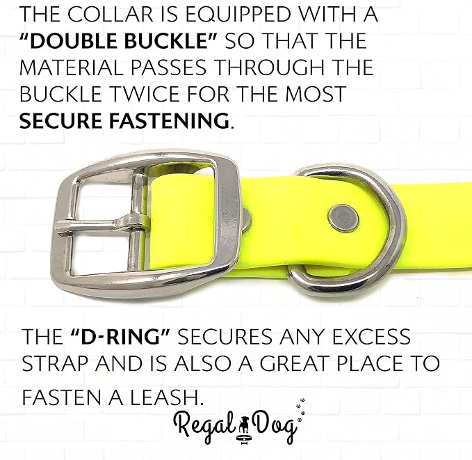 Regal Dog Products Large Yellow Waterproof Dog Collar and Leash Set | Heavy Duty Double Buckle & D Ring - 5'ft Leash | Adjustable Biothane Dog Collar | Chew Resistant Waterproof Collar for Dogs