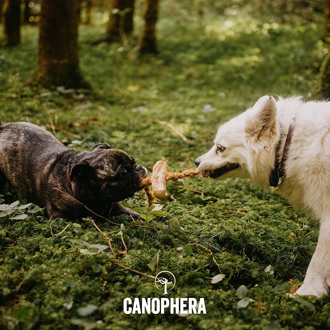 Canophera Dog CHEW Made of Coffee Wood and Coconut Rope - for All Breeds (Large)