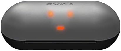 Sony WF-C500 True Wireless Headphones - Up to 20 Hours Battery - Charging case - Voice Assistant Compatible - Built-in mic for Phone Calls - Reliable Bluetooth - Black