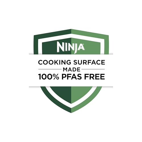 Ninja | Air Fryer | 4 QT Capacity | 4-in1 Roast, Crisp, Roast, Reheats, & Dehydrates | Dishwasher Safe Parts | Includes 20 Easy & Healthy Recipes | Compact | Grey | AF101