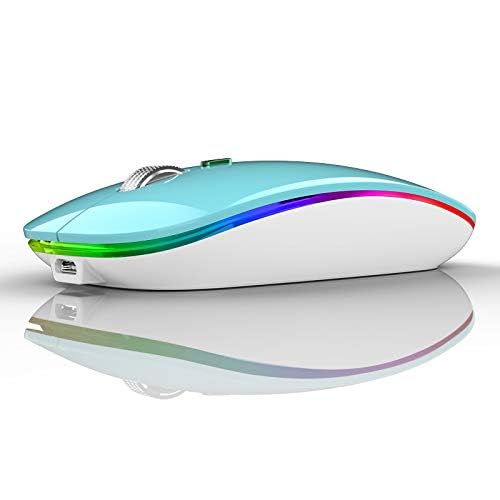 TENMOS Wireless Bluetooth Mouse, LED Slim (Bluetooth 5.1/5.0 + USB) 2.4GHz Rechargeable Silent Bluetooth Wireless Mouse with Type C Adapter for Laptop/MacBook/iPad OS 13 and Above (Matte Black)