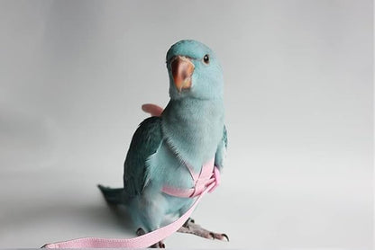 Pet Parrot Bird Harness Leash Adjustable Bird Flying Harness Traction Rope with Cute for Parrots Budgerigar Lovebird Cockatiel Mynah Outdoor Training Toy (Cockatiel/Green-cheeked Conure,Pink)