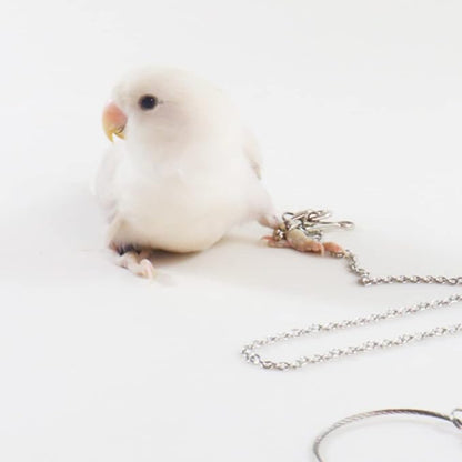Bird Foot Chain Flying Stainless Steel Training Rope Outdoor Parrot Ankle Foot Ring Accessories Bird Harness Leash Prevent Escaping (4#)