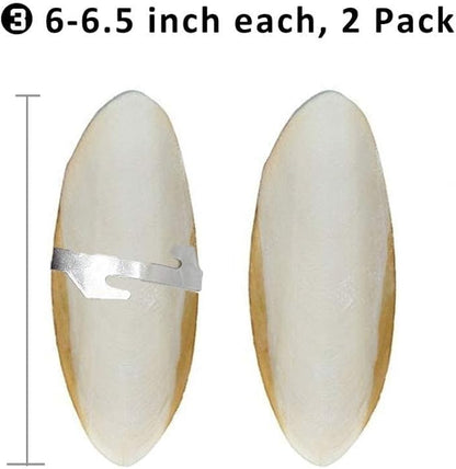 Natural Cuttlebone for Birds Parakeets Canaries Cockatiels Small Conures Mynahs Toucans African Greys All Parrots Snails Totoise, with Holder for Bird Cage (6-6.5 inch,2PCS)