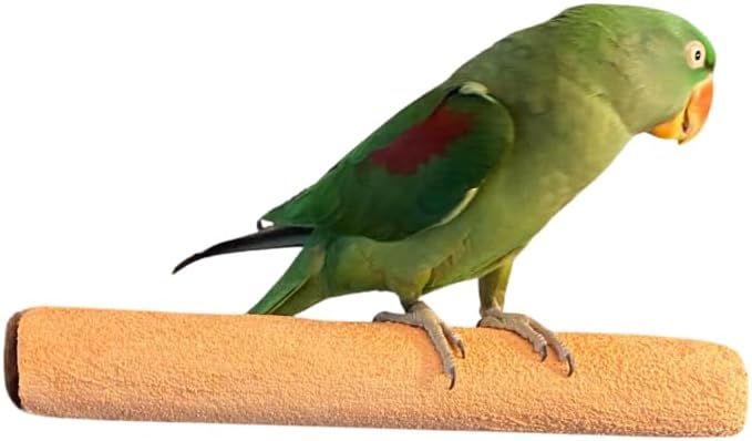 Polly's Pastels Nail Trimming & Beak Conditioning Safety Perch for Cockatiels, Cockatoos, Macaws, Parakeets, Budgies, Parrots and All Other Birds (Coral, X-Large Long-2" Dia. x 14" Long)