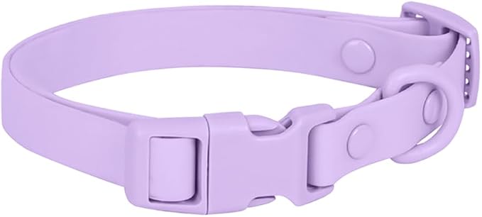 Ovale Waterproof Dog Collar Leash Combo Set, Durable and Easy to Clean, for Medium Dogs.(M, Purple)