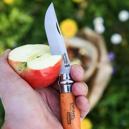 Opinel No. 06 Carbone - Carbon Steel Folding Pocket Knife, Beechwood Handle, 2.87 in. Blade, Virobloc Safety Locking Collar, Made in France